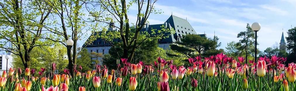 Édifice de la Cour suprême du Canada